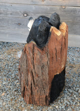 Load image into Gallery viewer, 28" Chainsaw Carved Stump Bear with Peek-A-Boo Butt