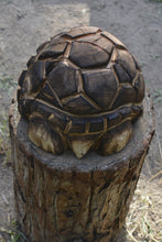 Load image into Gallery viewer, Handcrafted Cedar Turtle/Tortoise Wood Sculpture by Jess Alice - Charming Natural Art for Home Decor