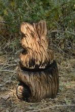 Load image into Gallery viewer, Chainsaw Carved 20" Raccoon in Stump Wood Sculpture | Raw California Cedar | One-Of-A-Kind Original Artwork | Artist & Carver Jess Alice