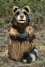 Load image into Gallery viewer, Chainsaw Carved 20" Raccoon in Stump Wood Sculpture | Raw California Cedar | One-Of-A-Kind Original Artwork | Artist & Carver Jess Alice