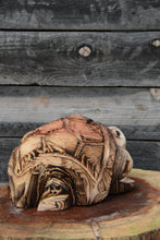 Load image into Gallery viewer, 12x7-Inch Chainsaw Carved Small Tortoise Sculpture