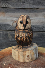 Load image into Gallery viewer, Chainsaw Carved 9" x 5" Mini Owl on Base