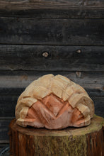 Load image into Gallery viewer, Large 17"x10" Redwood Tortoise Wood Sculpture