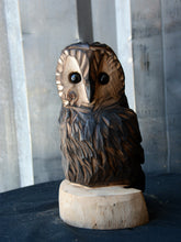 Load image into Gallery viewer, 11"x5" Chainsaw Carved Owl Sculpture on Base