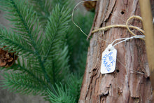 Load image into Gallery viewer, MEDIUM - Bundle of Raw California Cedar Bark - 4 pieces