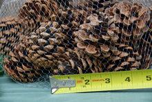 Load image into Gallery viewer, Small Pinecones - Handpicked California 100% Natural small 2-3" - Pack of 12