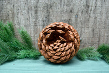 Load image into Gallery viewer, Pinecones - Handpicked California 100% Natural Lg 6"- 6 Count