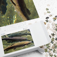Load image into Gallery viewer, 3 Rainbow Trout Fish Swimming Puzzle ( 252, 500, 1014-piece) |Photograph by Artist Jess Alice - Jess Alice