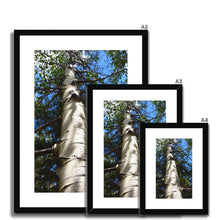Load image into Gallery viewer, Shadow Tree Framed & Mounted Print - Jess Alice