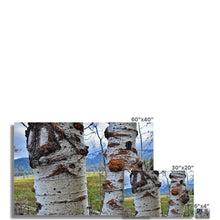 Load image into Gallery viewer, Meadow Aspens Fine Art Print - Jess Alice