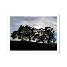 Load image into Gallery viewer, Fine Art Print |"Oak 101" Landscape Photography | Artist Jess Alice - Jess Alice