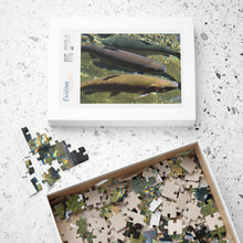 Load image into Gallery viewer, 3 Rainbow Trout Fish Swimming Puzzle ( 252, 500, 1014-piece) |Photograph by Artist Jess Alice - Jess Alice