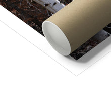 Load image into Gallery viewer, Aspen Winter Fine Art Print - Jess Alice