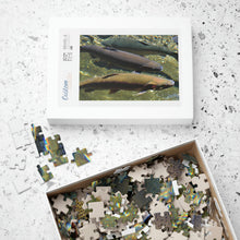 Load image into Gallery viewer, 3 Rainbow Trout Fish Swimming Puzzle ( 252, 500, 1014-piece) |Photograph by Artist Jess Alice - Jess Alice