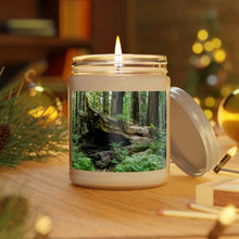 Load image into Gallery viewer, 100% Natural Soy Blend Wax Scented Candle 9oz | | "Forest Floor" Artist Jess Alice - Jess Alice