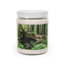 Load image into Gallery viewer, 100% Natural Soy Blend Wax Scented Candle 9oz | | "Forest Floor" Artist Jess Alice - Jess Alice