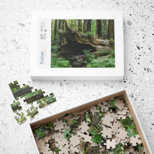 Load image into Gallery viewer, Puzzle (252, 500, 1014-piece) |"Forest Floor" Photograph by Artist Jess Alice | Redwood Forest Puzzles - Jess Alice