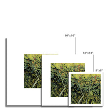 Load image into Gallery viewer, Fine Art Print - Jess Alice