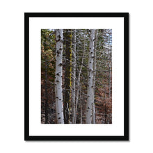 Load image into Gallery viewer, Aspen Winter Framed & Mounted Print - Jess Alice