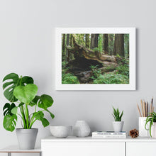 Load image into Gallery viewer, Framed Poster | "Forest Floor" | Landscape Photography | Artist Jess Alice - Jess Alice