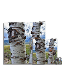 Load image into Gallery viewer, Meadow Aspens Fine Art Print - Jess Alice