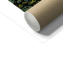 Load image into Gallery viewer, Fine Art Print - Jess Alice