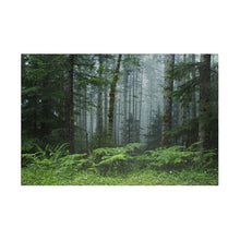 Load image into Gallery viewer, Puzzle (252/1014 piece) | Fern and Forest - Nature Scene | "Oregon Mist" Artist Jess Alice - Jess Alice