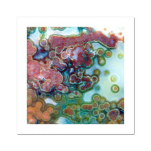 Load image into Gallery viewer, Jasper Eye Fine Art Print - Jess Alice