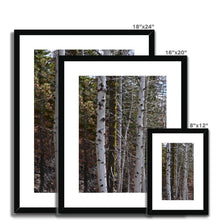 Load image into Gallery viewer, Aspen Winter Framed & Mounted Print - Jess Alice