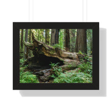 Load image into Gallery viewer, Framed Poster | "Forest Floor" | Landscape Photography | Artist Jess Alice - Jess Alice