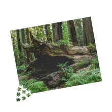 Load image into Gallery viewer, Puzzle (252, 500, 1014-piece) |"Forest Floor" Photograph by Artist Jess Alice | Redwood Forest Puzzles - Jess Alice