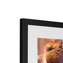 Load image into Gallery viewer, Ember Framed & Mounted Print - Jess Alice