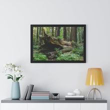 Load image into Gallery viewer, Framed Poster | "Forest Floor" | Landscape Photography | Artist Jess Alice - Jess Alice