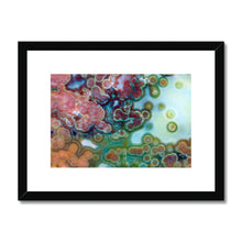 Load image into Gallery viewer, Jasper Eye Framed & Mounted Print - Jess Alice