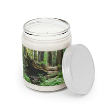 Load image into Gallery viewer, 100% Natural Soy Blend Wax Scented Candle 9oz | | "Forest Floor" Artist Jess Alice - Jess Alice