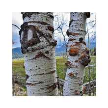 Load image into Gallery viewer, Meadow Aspens Fine Art Print - Jess Alice
