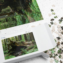 Load image into Gallery viewer, Puzzle (252, 500, 1014-piece) |"Forest Floor" Photograph by Artist Jess Alice | Redwood Forest Puzzles - Jess Alice