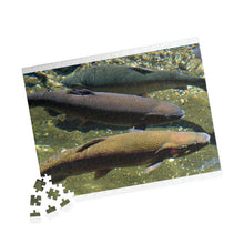 Load image into Gallery viewer, 3 Rainbow Trout Fish Swimming Puzzle ( 252, 500, 1014-piece) |Photograph by Artist Jess Alice - Jess Alice
