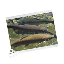 Load image into Gallery viewer, 3 Rainbow Trout Fish Swimming Puzzle ( 252, 500, 1014-piece) |Photograph by Artist Jess Alice - Jess Alice