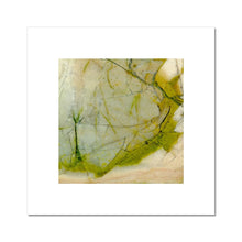 Load image into Gallery viewer, Spring Rock Fine Art Print - Jess Alice