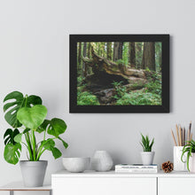 Load image into Gallery viewer, Framed Poster | "Forest Floor" | Landscape Photography | Artist Jess Alice - Jess Alice
