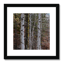 Load image into Gallery viewer, Aspen Winter Framed & Mounted Print - Jess Alice