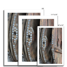 Load image into Gallery viewer, " Bellow" Fine Art Print | Photograph by Artist Jess Alice - Jess Alice