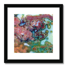 Load image into Gallery viewer, Jasper Eye Framed & Mounted Print - Jess Alice