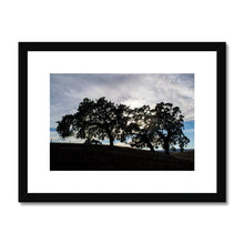 Load image into Gallery viewer, "Oak 101"Framed & Mounted Fine Art Print | Artist Jess Alice | Oak Silhouette Landscape - Jess Alice