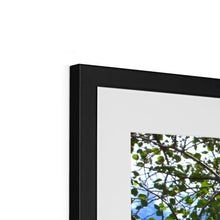 Load image into Gallery viewer, Shadow Tree Framed & Mounted Print - Jess Alice
