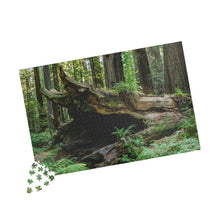 Load image into Gallery viewer, Puzzle (252, 500, 1014-piece) |"Forest Floor" Photograph by Artist Jess Alice | Redwood Forest Puzzles - Jess Alice
