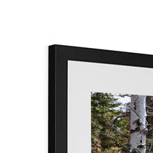 Load image into Gallery viewer, Aspen Winter Framed & Mounted Print - Jess Alice
