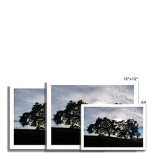 Load image into Gallery viewer, Fine Art Print |"Oak 101" Landscape Photography | Artist Jess Alice - Jess Alice