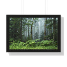 Load image into Gallery viewer, Framed Poster | "Oregon Mist" | Landscape Photography | Artist Jess Alice - Jess Alice